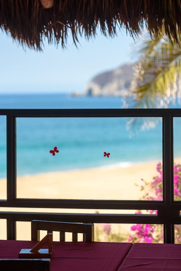 Cabanas El Cielito Villa del Mar المظهر الخارجي الصورة